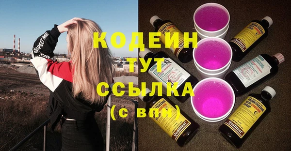 PSILOCYBIN Богданович