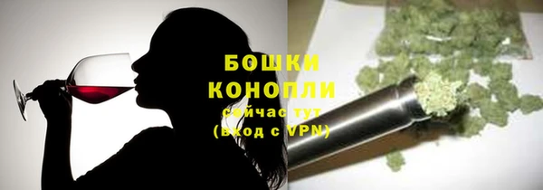 mix Богородицк