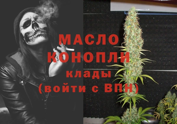mix Богородицк