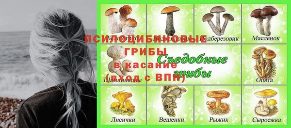 PSILOCYBIN Богданович