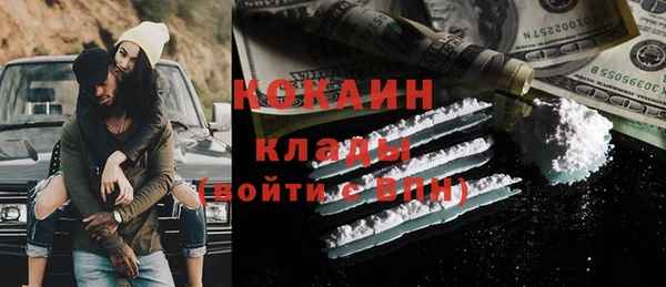 mix Богородицк