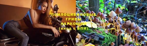 mix Богородицк